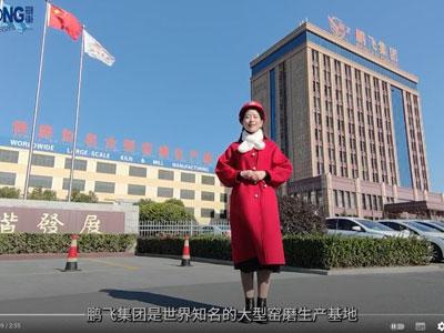 Máquina de rolamento de placa 160x3500 3 rolos-usuário Pengfei no local